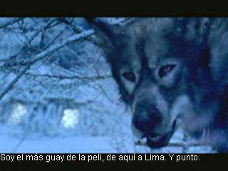 20060522193143-narniawolf.jpg