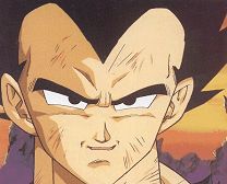 20060831092849-vegeta.jpg