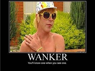 20090317215911-wanker.jpg