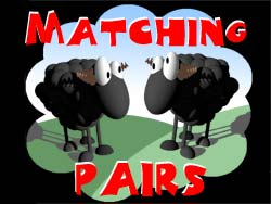 matching_pairs.jpg