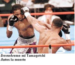 pelea.jpg
