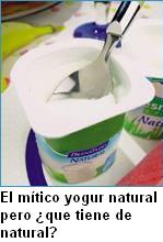 yogur.jpg